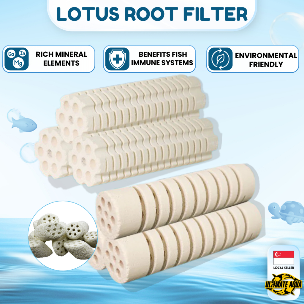 Mountain Tree Lotus Root Nitro Ring For Aquarium Bacteria, Filter Media ...