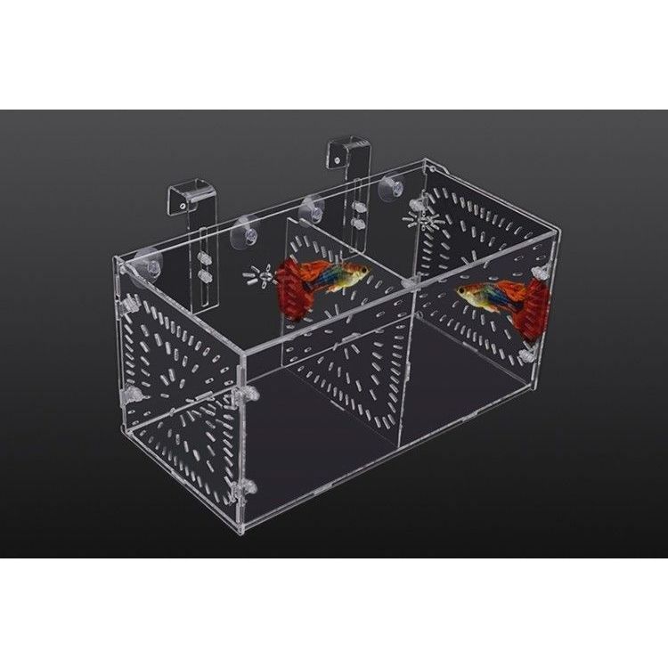PF Aquarium Acrylic Isolation Boxes (Breeding/Quarantine) | Shopee ...