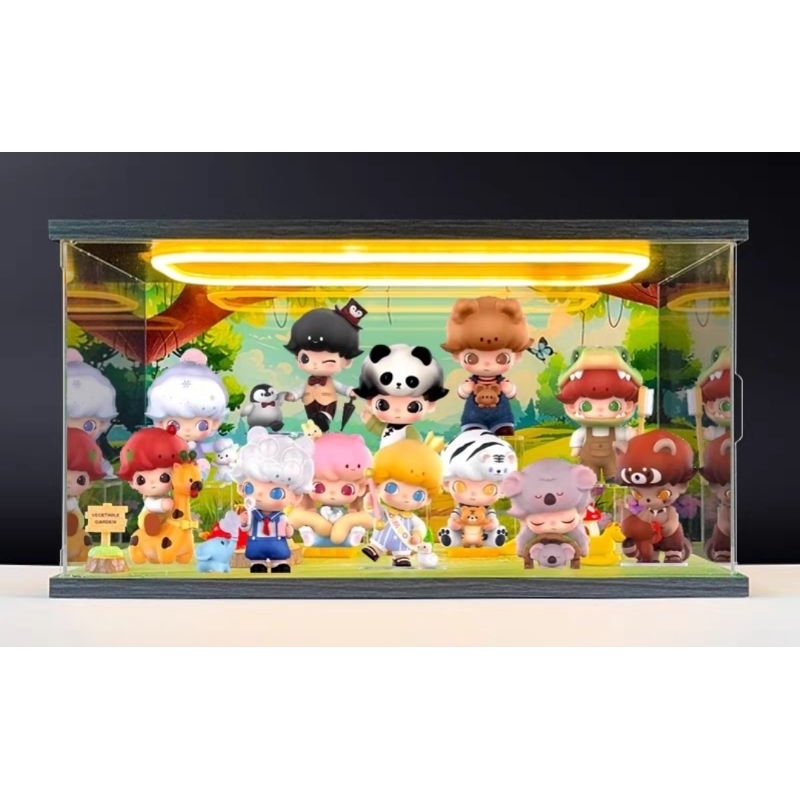 Local SG Seller] POPMART Themed Acrylic Tabletop Display Case