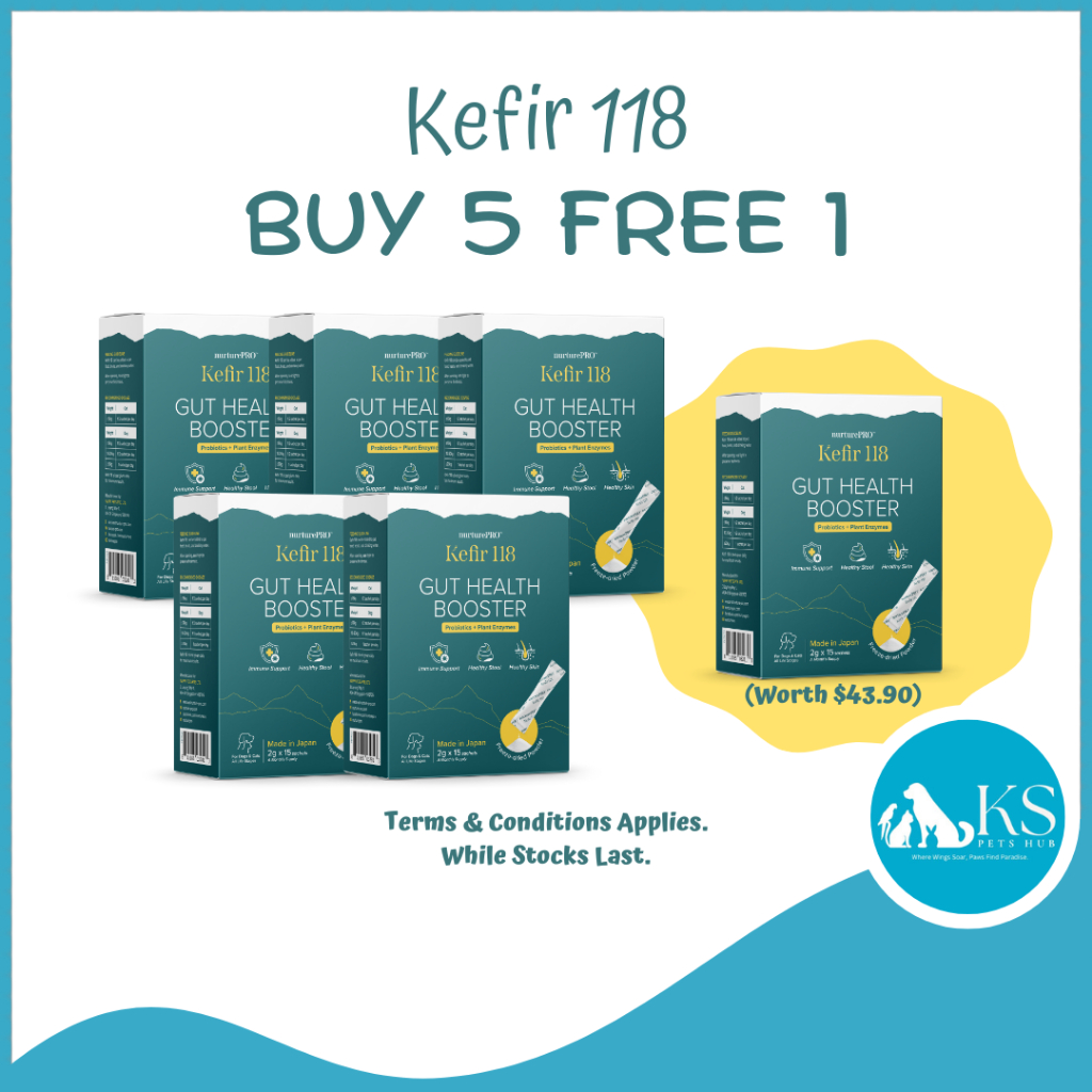 Photo inspiration: Kefir Supplements For Cat Mental Health Reference: Promo Use Only Nurture Pro Kefir Pro For Cats Dogs