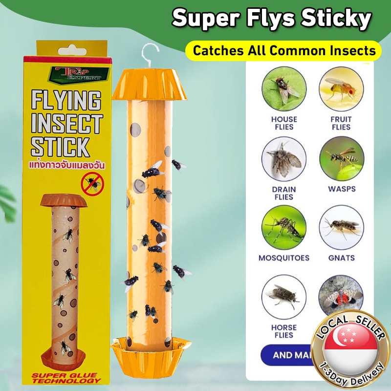 🇸🇬【SG stock】Fly Magic Stick Fly trap Magic stick traps Sticky glue ...