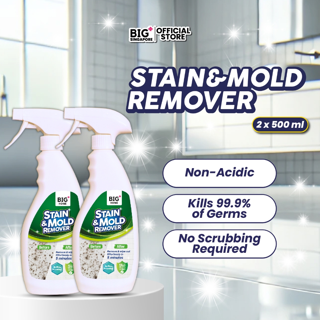 BIG+ Stain & Mold Remover (2x500ml) Toilet Bathroom Cleaner Mold Stain ...