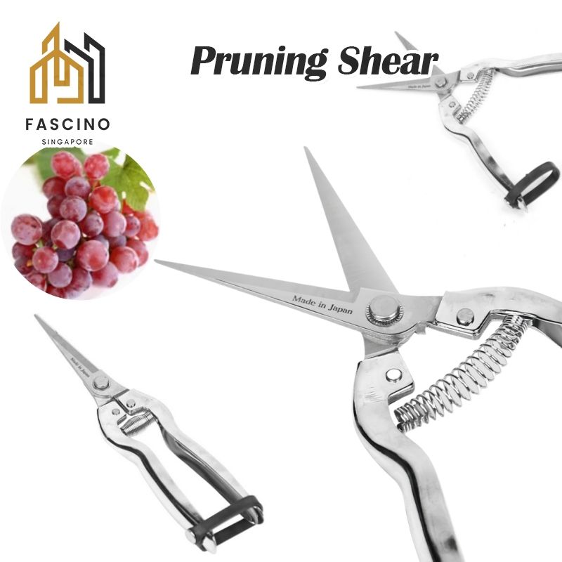 【SG】Anti-Rust Garden Pruning Shear All Stainless Fruit Thinning ...