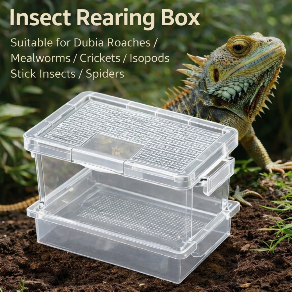 Insect Rearing Box for Dubia Roaches / Mealworms / Superworms ...