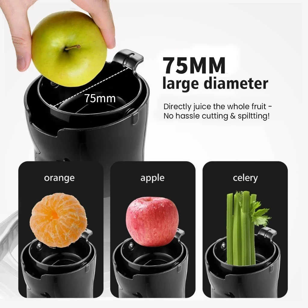 Powerful Electric Stainless Steel Juice Extractor 800W Juicer ...