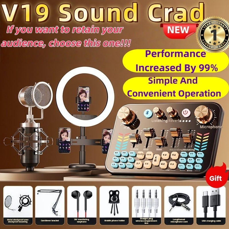 SG V19 Complete Sound Card & Mic Set: Professional Condenser Microphone ...