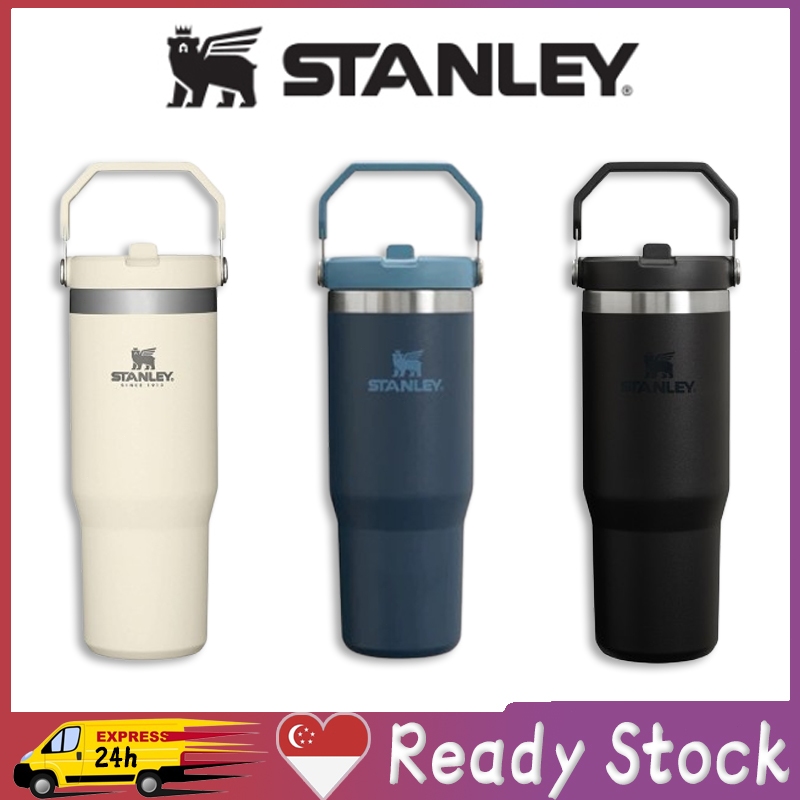 STANLEY IceFlow Flip Straw Water Bottle 22 Oz