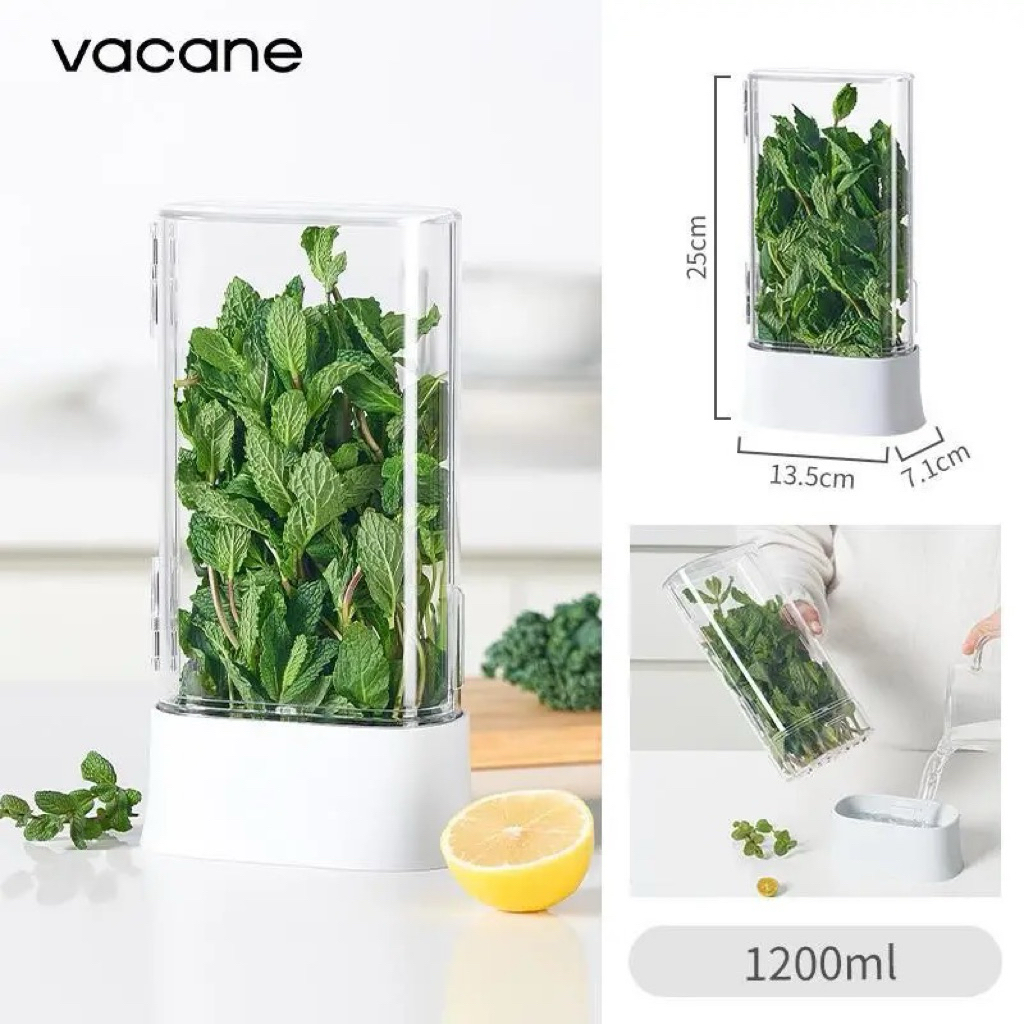 Container/ Storage for Fresh Herb keeper in fridge, kitchen Spring ...
