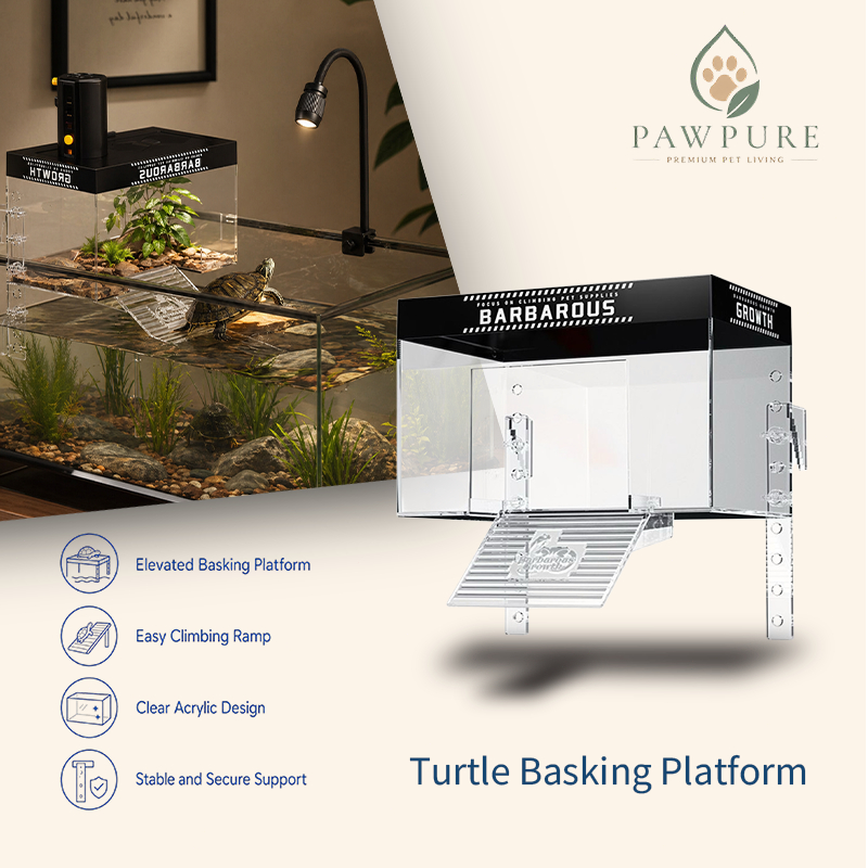 Turtle Basking Back Platform Wall-Mounted Turtle Platform Deep Water ...