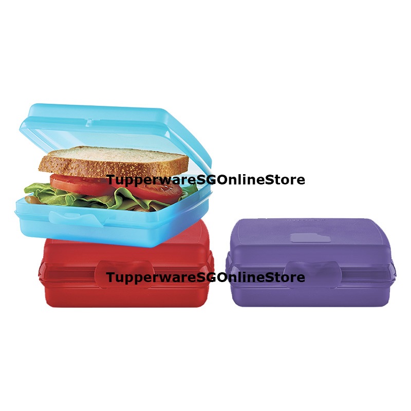 Tupperware Square Flip Top Kids School Lunch Sandwich Keeper Container ...