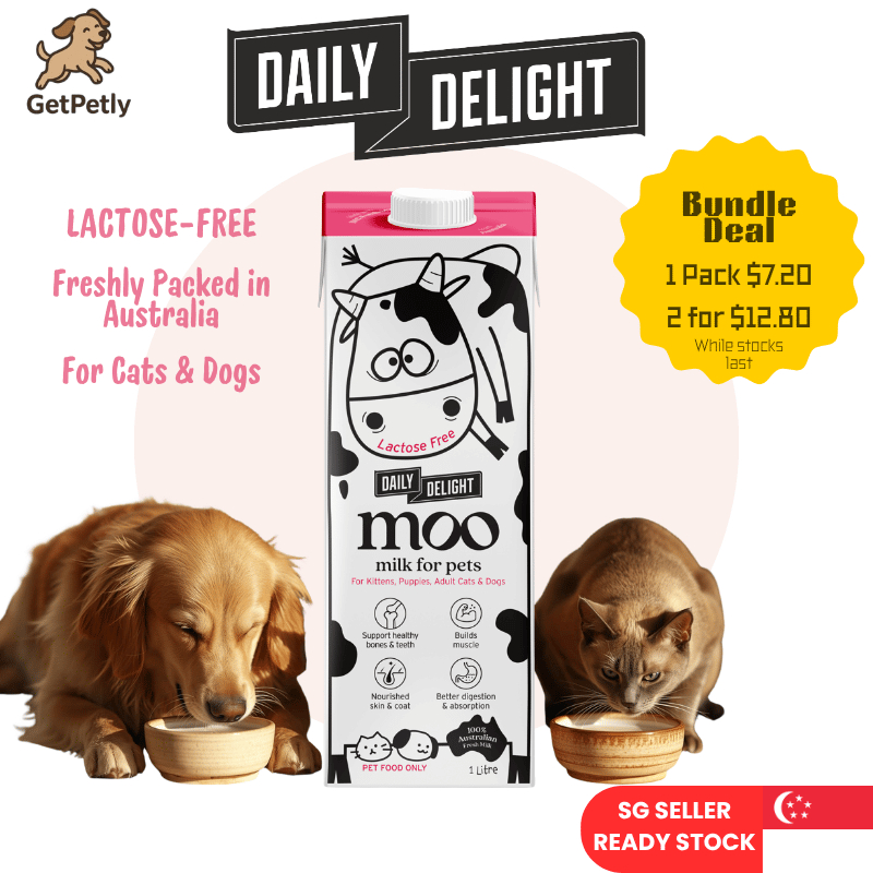 [GetPetly] New Launch Daily Delight Moo Milk for Cat & Dog 1 Liter ...