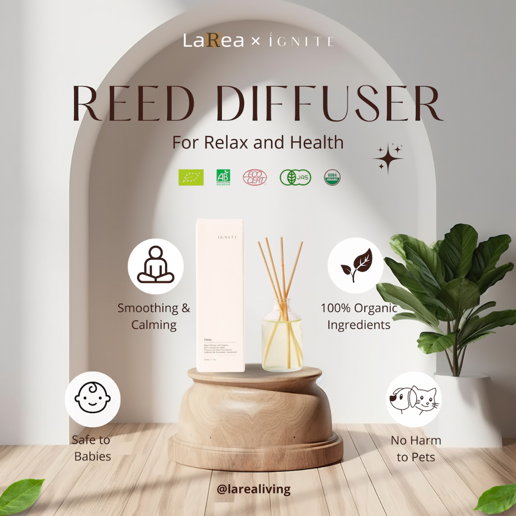 IGNITE I Organic Essential Oil Reed Diffuser 50ml 100ml I Natural ...