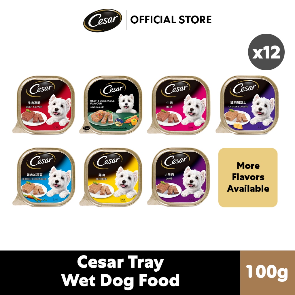 Cesar Cuisine Wet Dog Food Adult (Bundle of 12 x 100g)