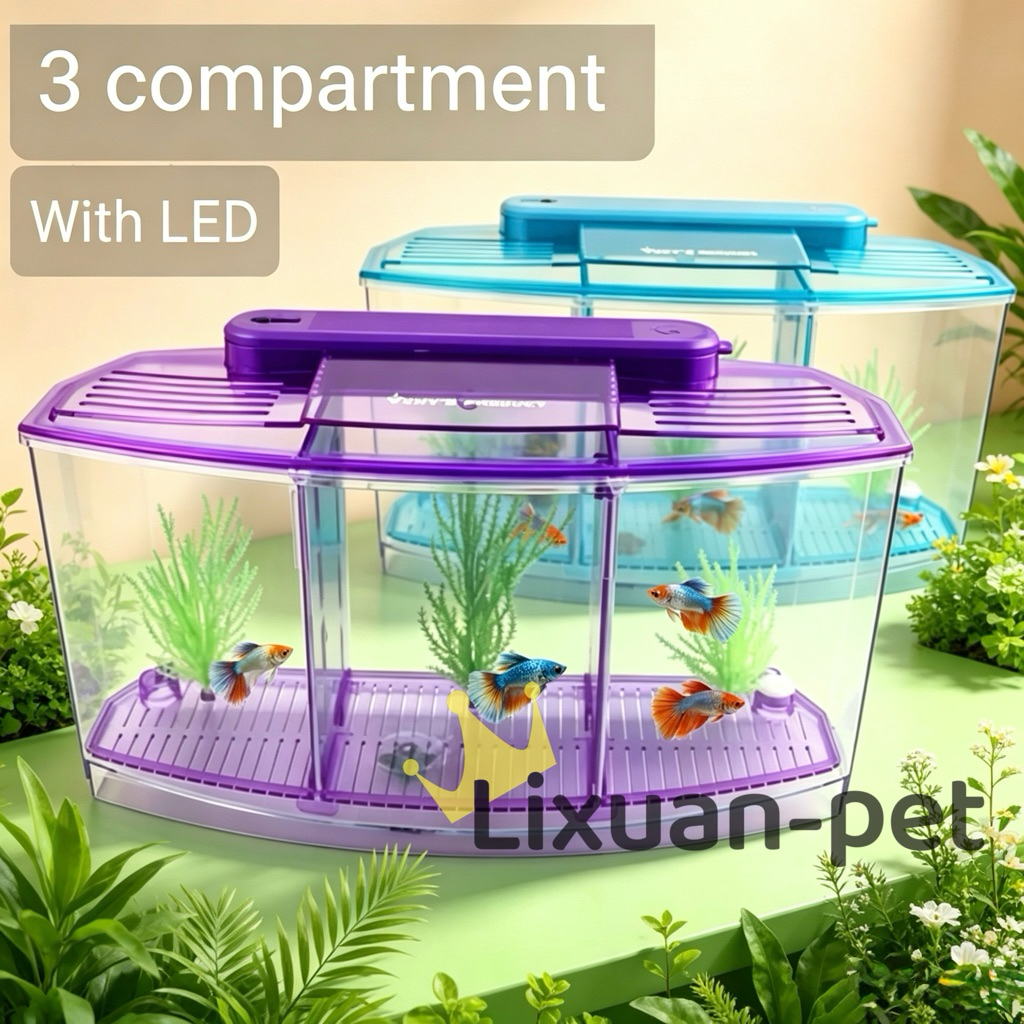 Local Supplier. 3 Compartment Betta tank. fish tank for fighting fish ...