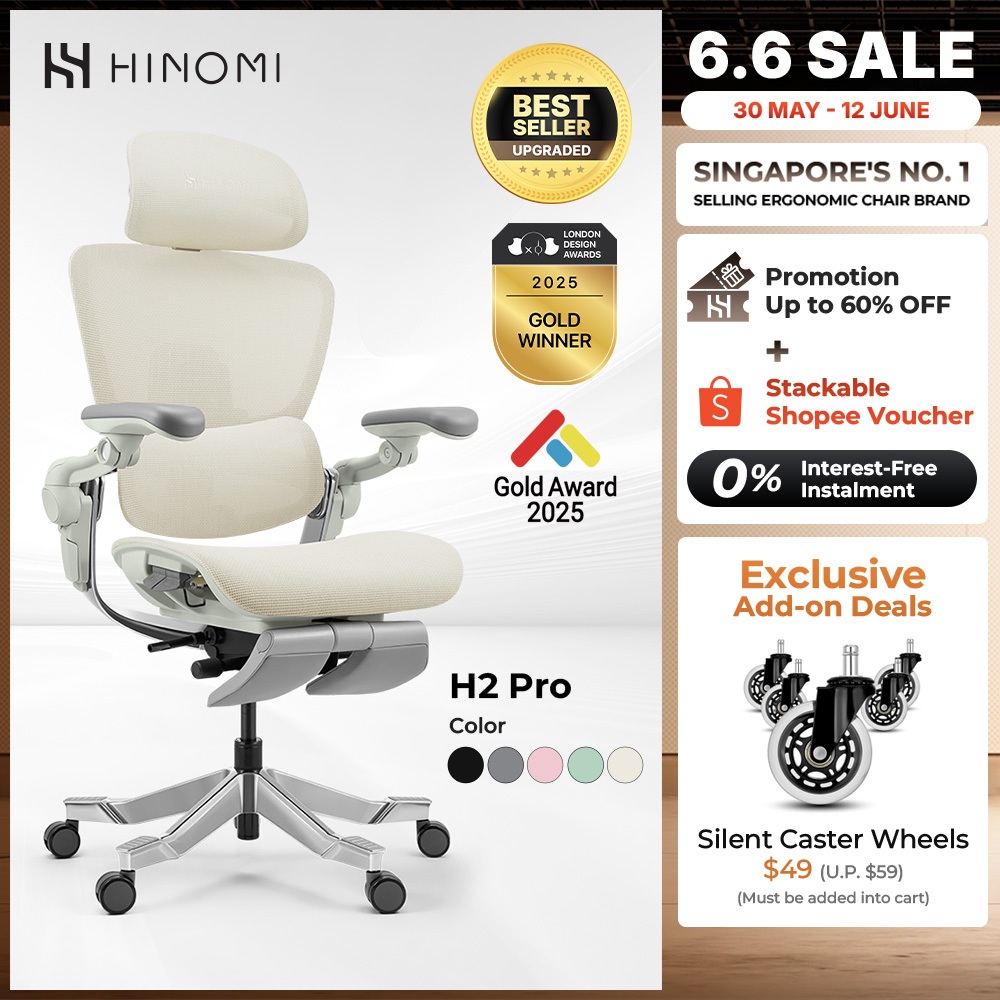 Hinomi H2 Pro Ergonomic Chair with Lumbar Support,Leg Rest,Mesh Home ...