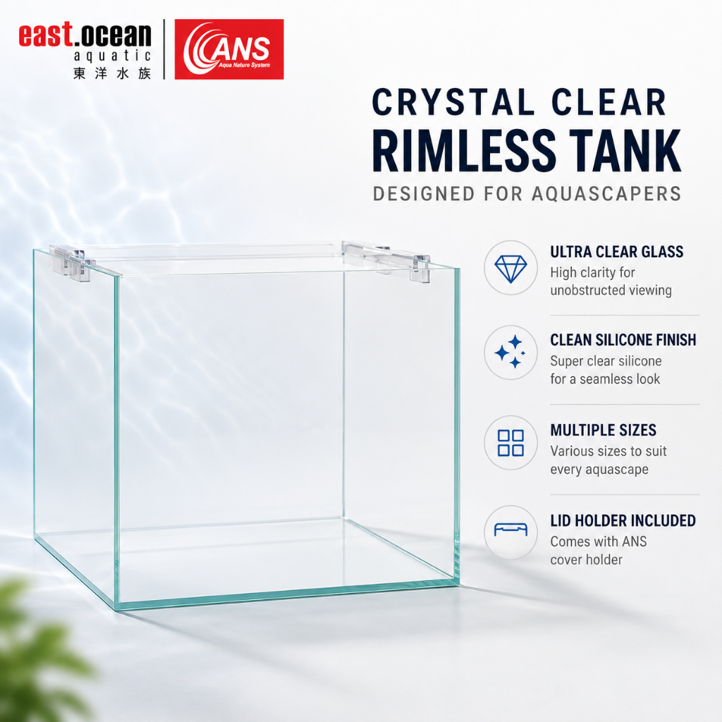 ANS OptiCube Ultra Clear Glass Rimless Aquarium Tank w/ Lid | Cube Fish ...