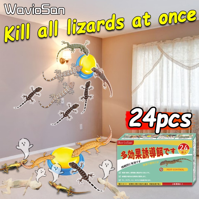 【72 Pieces】VGD Lizard killer Lizard bait Lured back to the nest, wiping ...