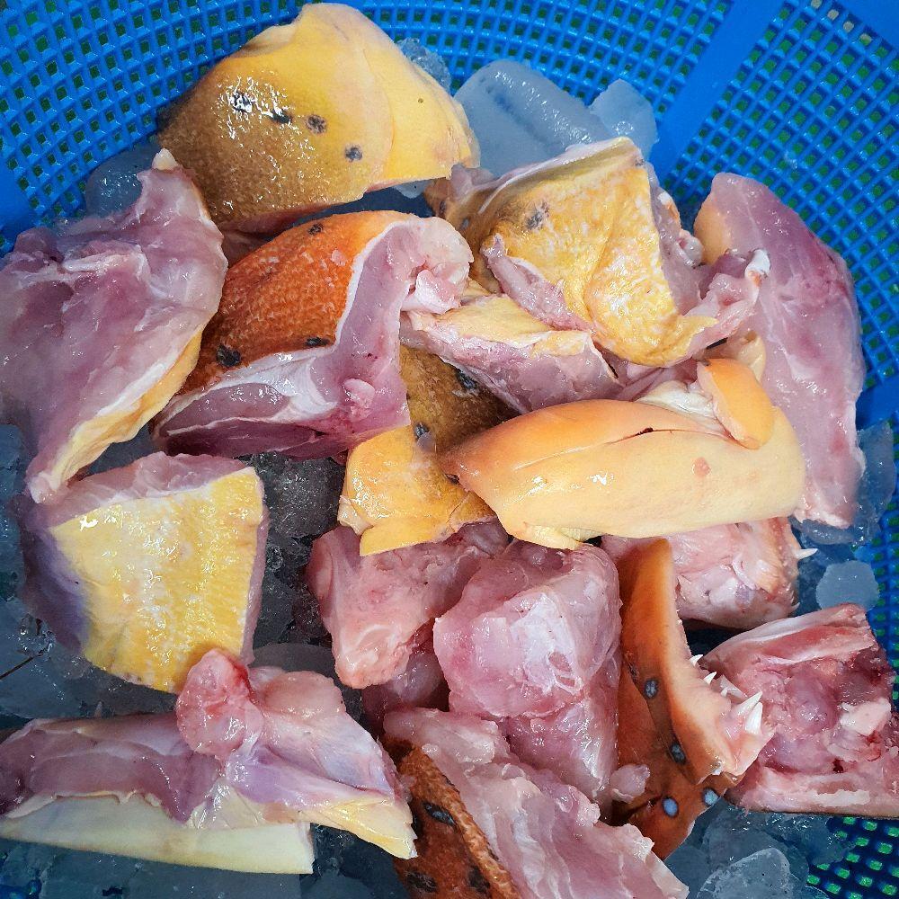 Fresh Frozen Chopped Fish Head 300g | Shopee Singapore