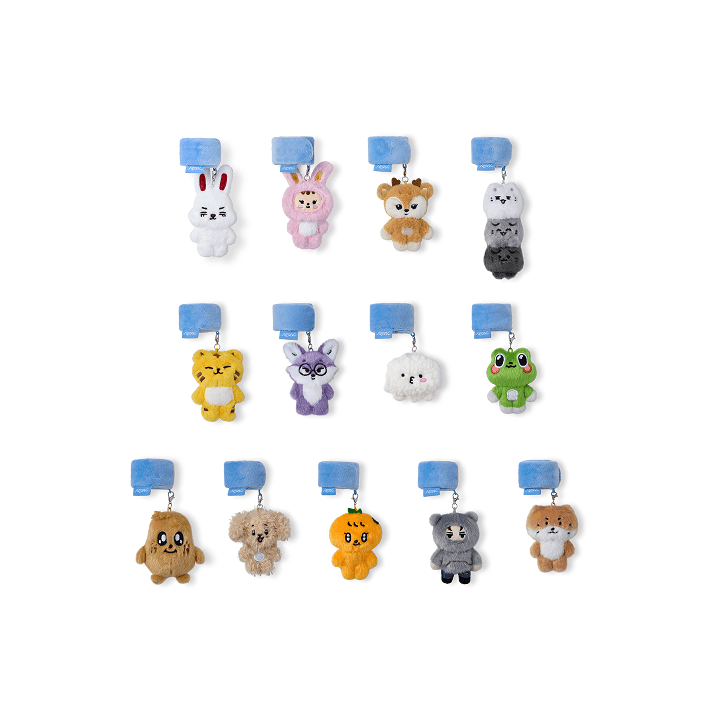 SEVENTEEN MINITEEN Deco Band | Shopee Singapore