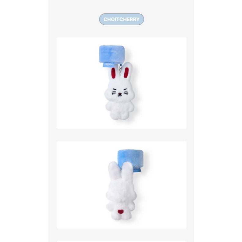 SEVENTEEN MINITEEN Deco Band | Shopee Singapore