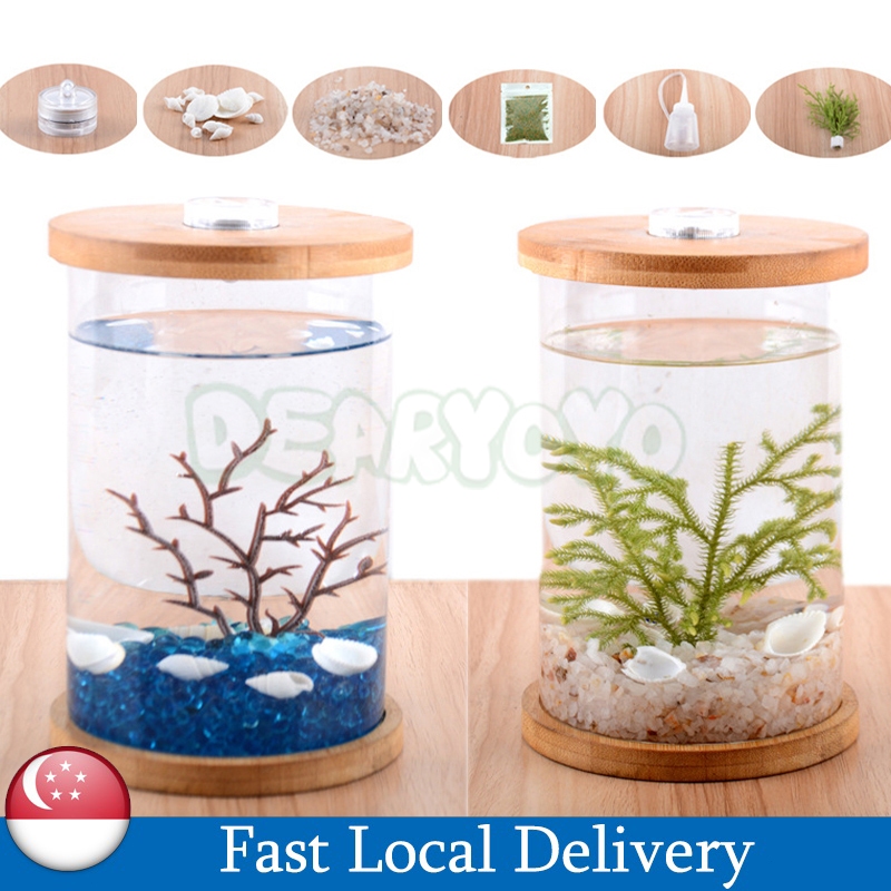 Glass Fish Tank Small Desk Aquarium Tank with Accessories Table Top ...