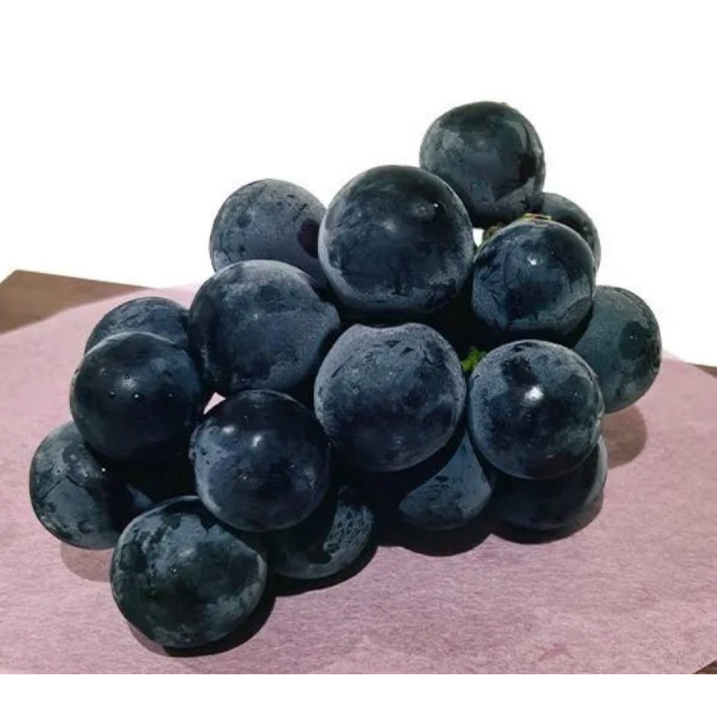 Buy kyoho grape Products At Sale Prices Online - October 2026 | Shopee ...