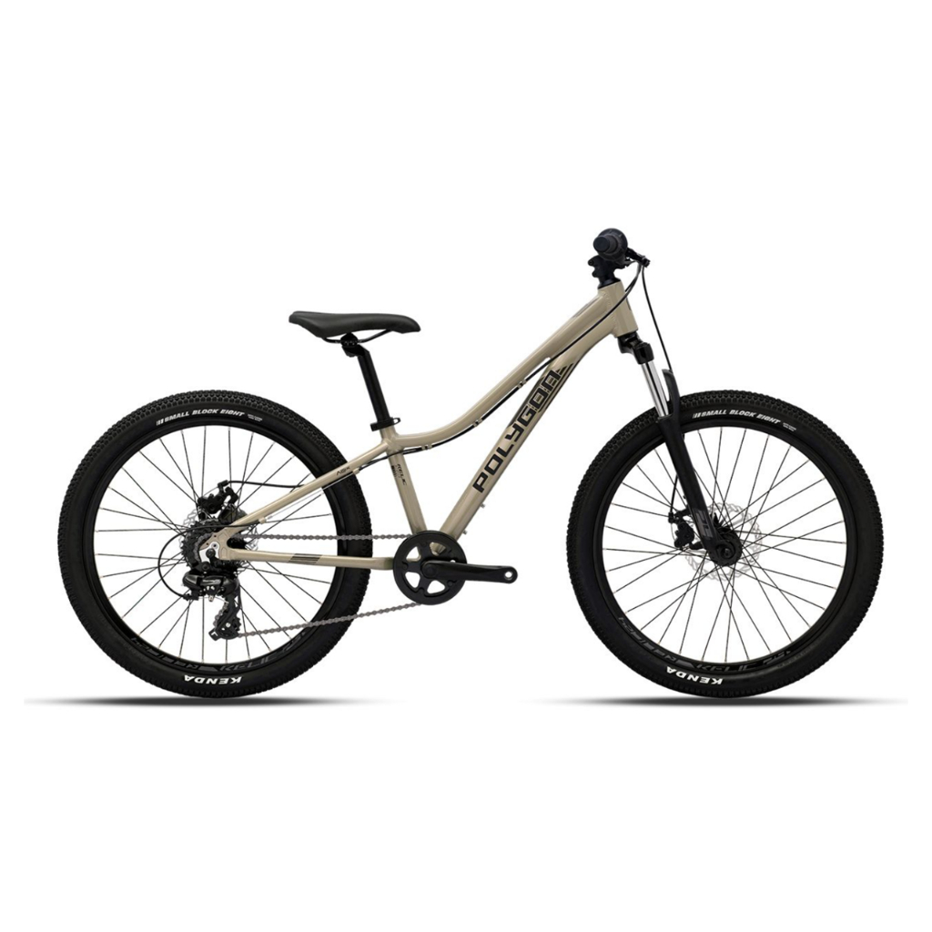 Polygon Relic 24 Mountain Bike Junior | Shopee Singapore