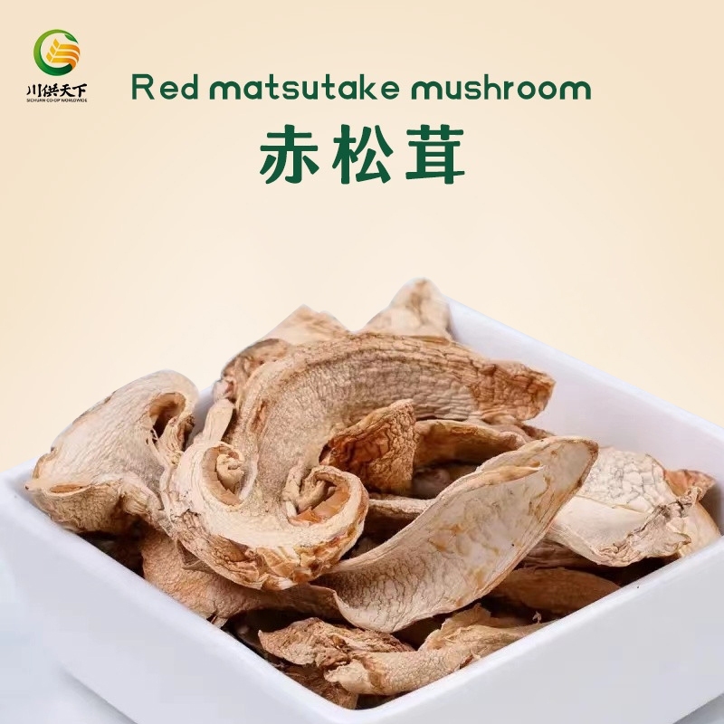 アクセサリー Matsutake Tricholoma matsutake 30g Premium Dried Mushroom 赤松茸 | Shopee