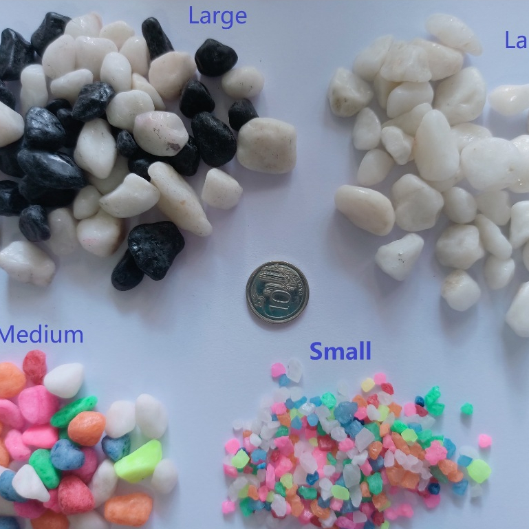 Small colourful pebbles pebble colorful small stones stone terrarium ...