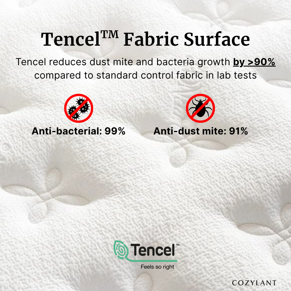 Cozylant Serenity Mattress size photo