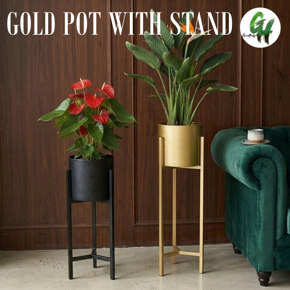 Elevated Plant Pot with Stand Plant Stand Planter Rack Plant Stand ...