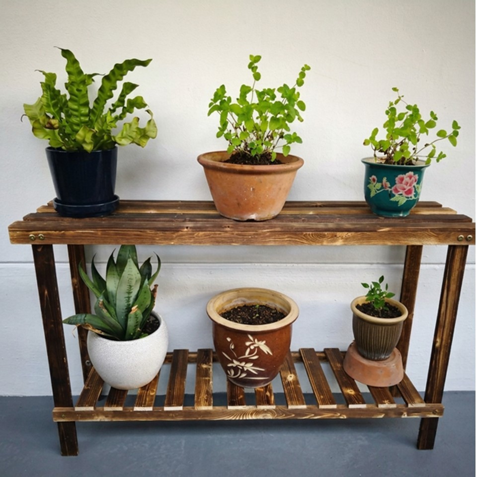 Buy plant rack hdb corridor At Sale Prices Online - October 2026 ...