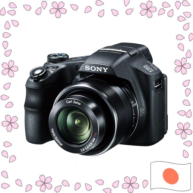 Sony Cyber-shot DSC-HX200V Digital Camera 18.2MP 30x Optical Zoom