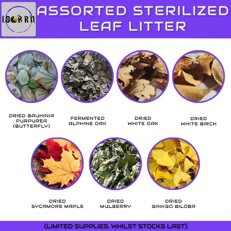 IsoBroSG Assorted Leaf Litter | Isopod Food | Butterfly, Mulberry ...