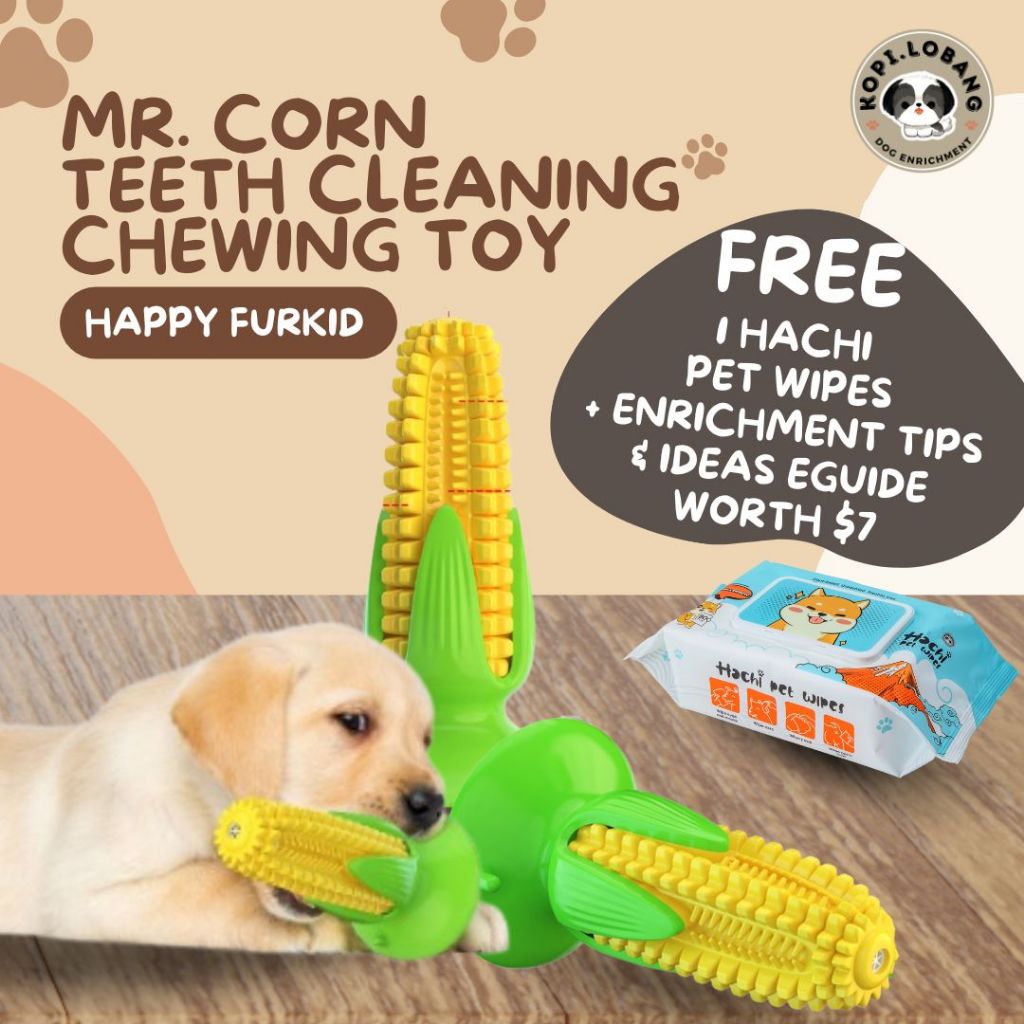 [SG] MR. CORN TEETH CLEANING CHEWING TOY ★ Dental Hygiene Training ...