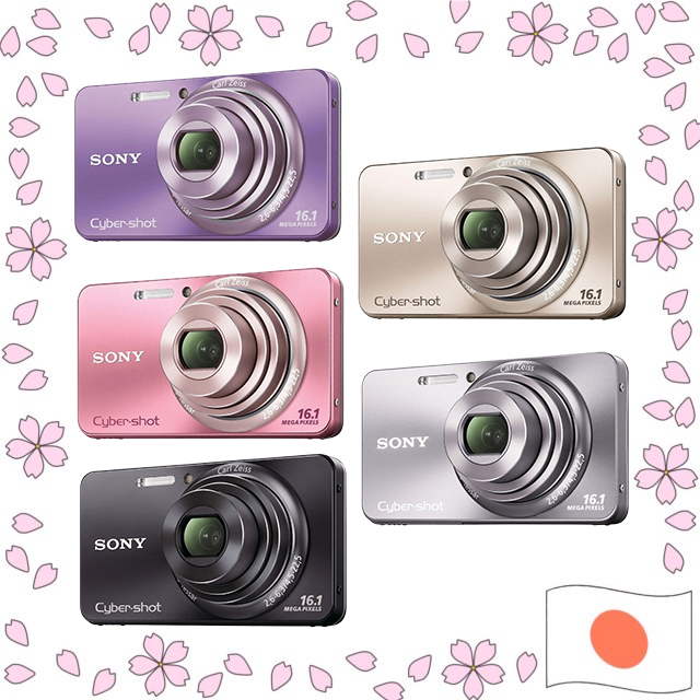 SONY Cyber-shot DSC-W570 Digital Camera 16.1MP CCD 5x Optical Zoom