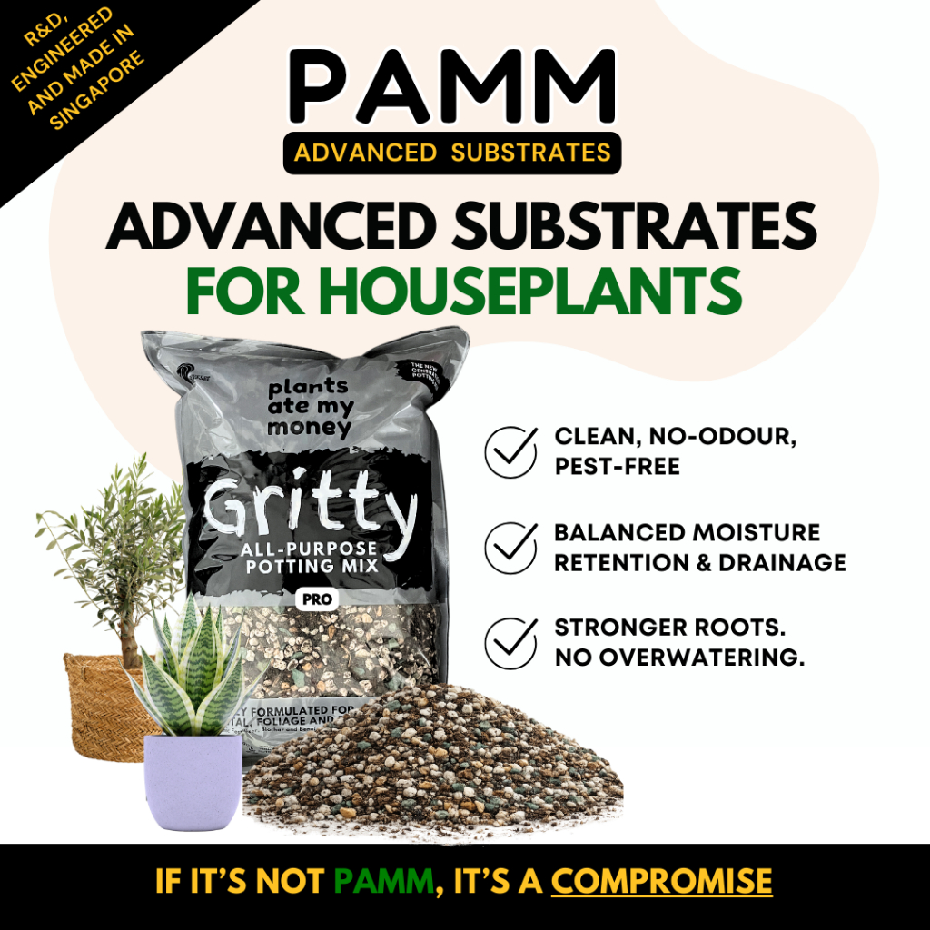 PAMM GRITTY MIX – Advanced Substrate Made for Houseplants | Mineral ...
