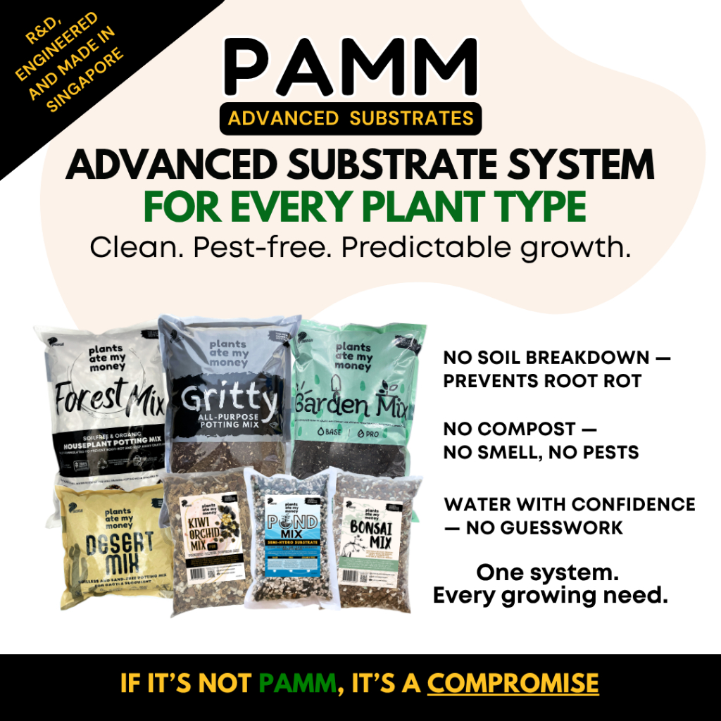 PAMM Advanced Substrate System for All Plants | Clean, Pest-Free ...
