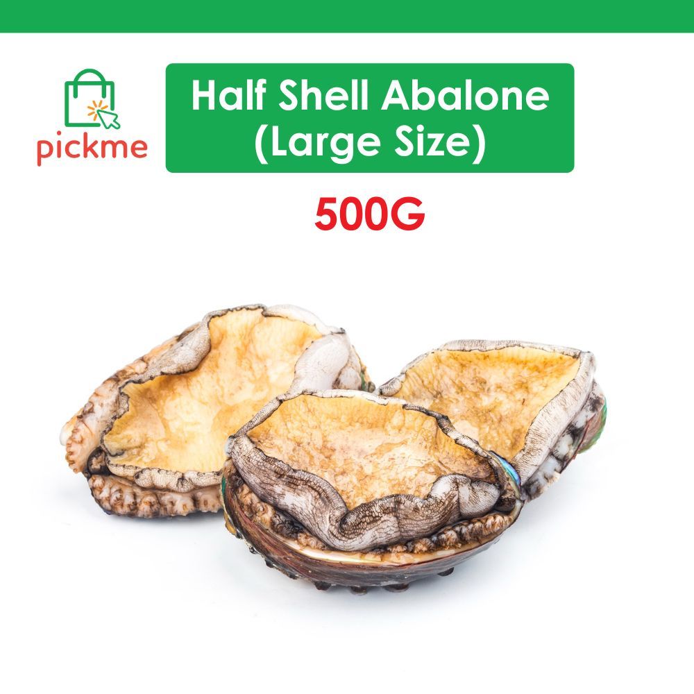 Half Shell Abalone (Large Size) 500g - Frozen | Shopee Singapore