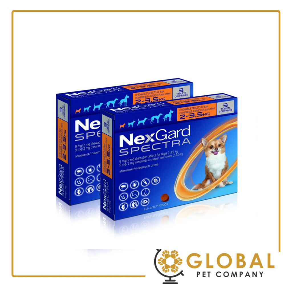 (SG distributor) Spectra 6 Chews 2-3.5kg Exp: 06/27 | Shopee Singapore