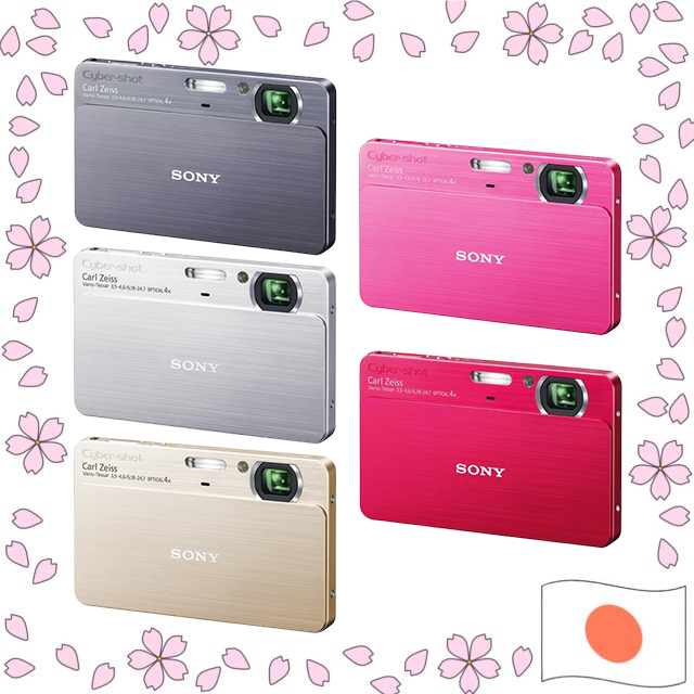 No Battery Sony Cyber-shot DSC-T700 Digital Camera 10.1MP CCD Carl