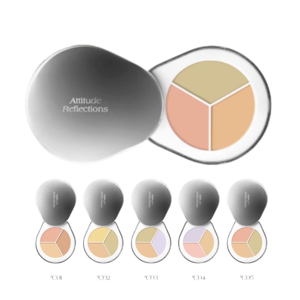 [Dear.A] Perfect Cover Concealer Palette 5 colors | Shopee Singapore