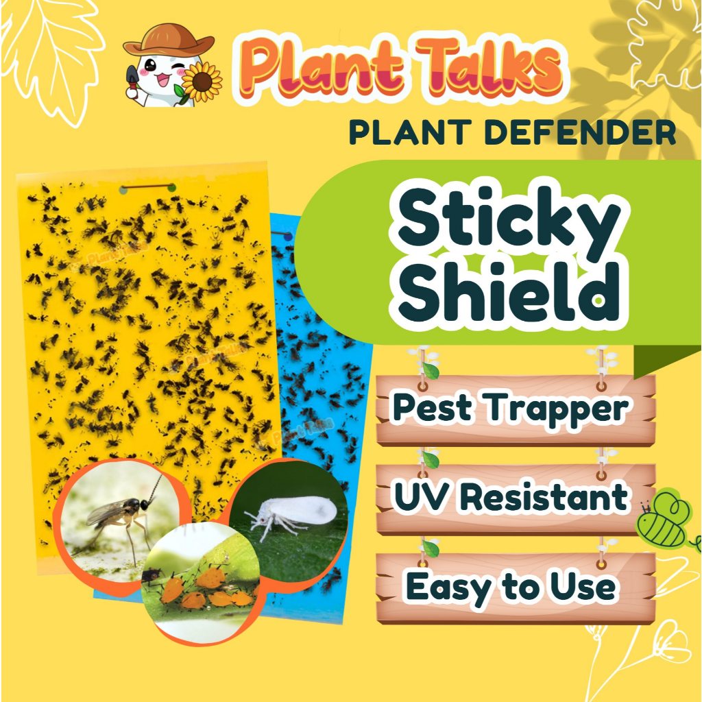 Plant Talks 30pcs Sticky Shield Insect Sticky Trap for Gardening Plants ...