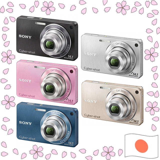 SONY Cyber-shot DSC-W350 Digital Camera 14.1MP 4x Optical Zoom