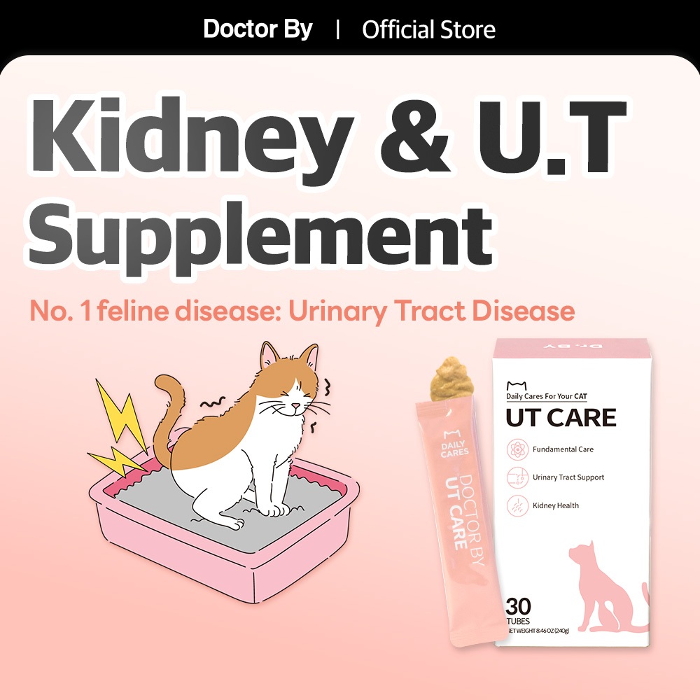 [Doctor By UT CARE] Urinary Tract Care Car Ciao Wet Food Treat Health ...