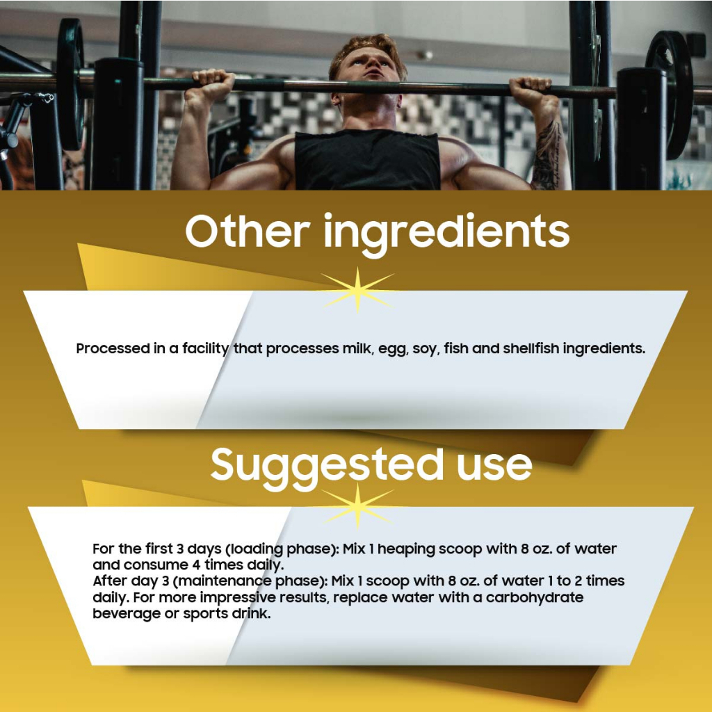[BUNDLE] Muscletech, Essential Series, Platinum 100% Creatine x2 ...