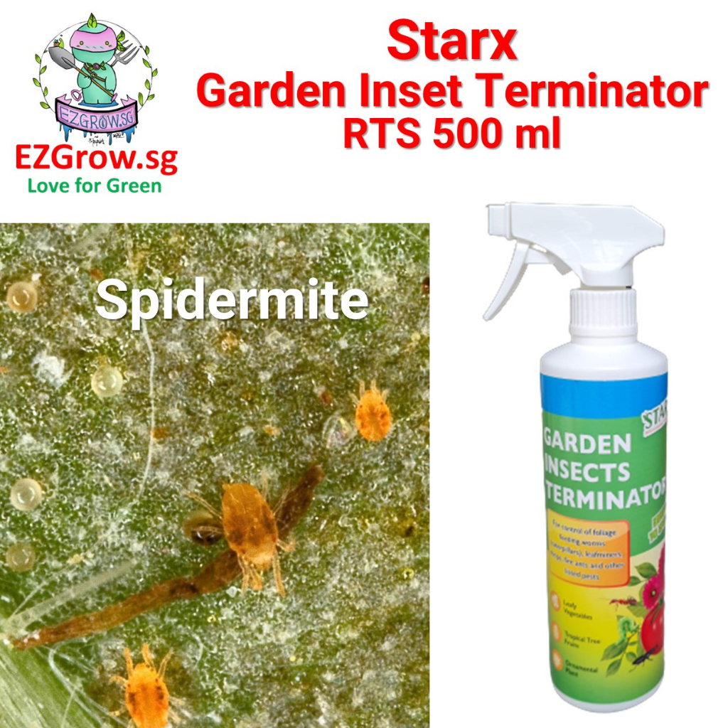 STARX Garden Insect Terminator RTS 500 ml | Against Caterpillars ...