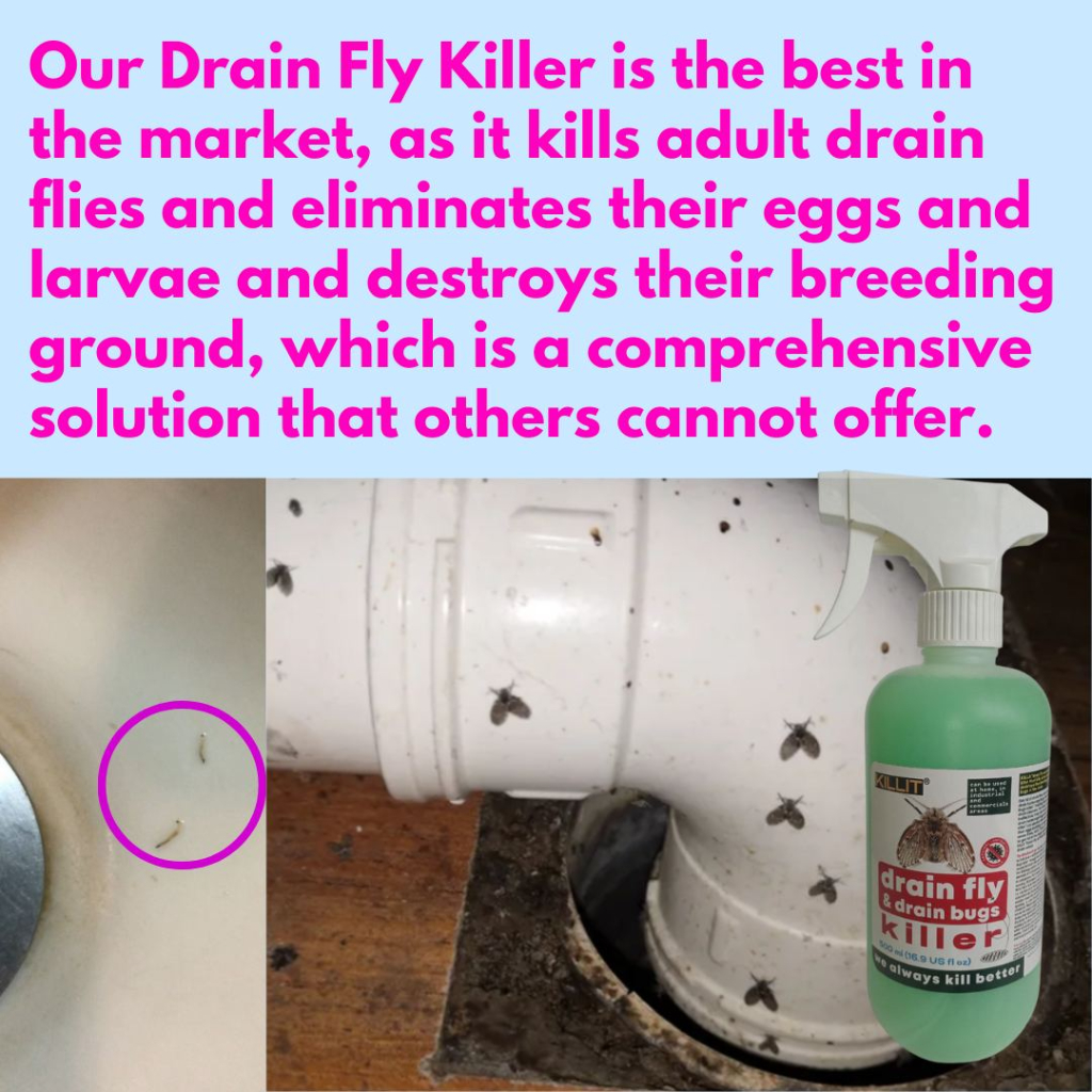 KILLit Drain Fly Killer (1000% Eliminate Infestation, Not Just Killing ...