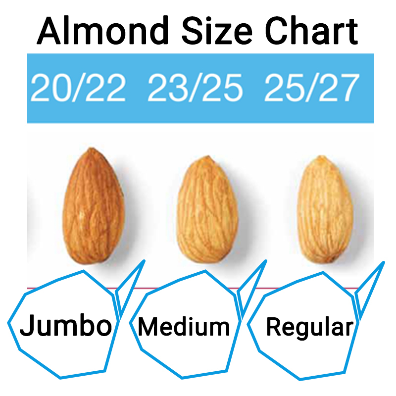Raw Jumbo Almonds 1KG From The US ! | Shopee Singapore