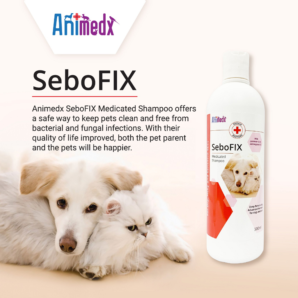 Animedx Sebofix Medicated Shampoo 250ml -Cat Dog, Anti-Fungal, Anti ...